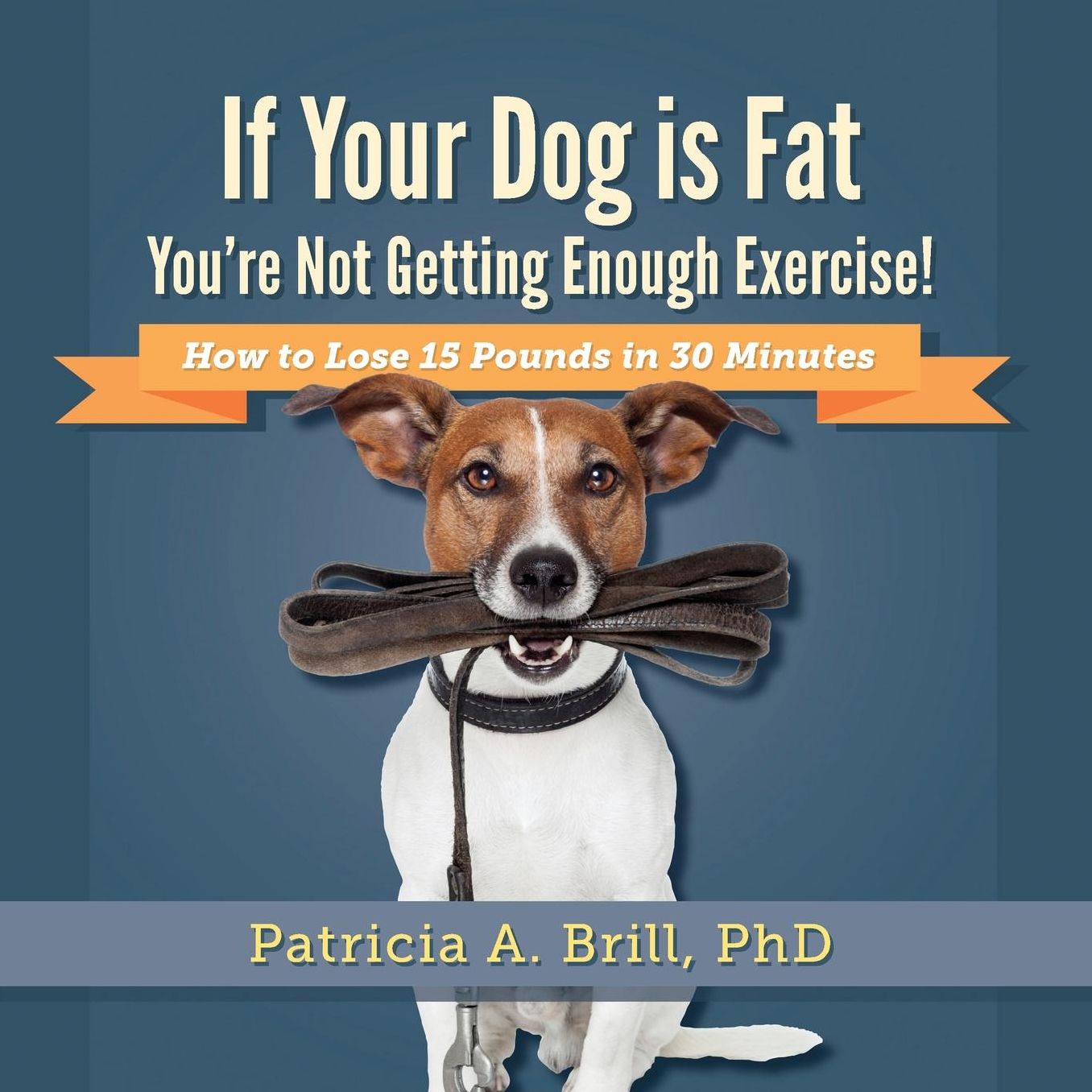 If Your Dog Is Fat You're Not Getting Enough Exercise!: How to Lose 15 Pounds in 30 Minutes