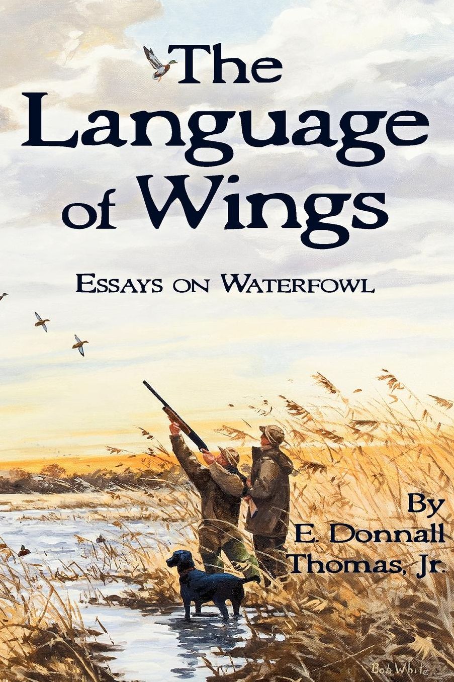 The Language Of Wings