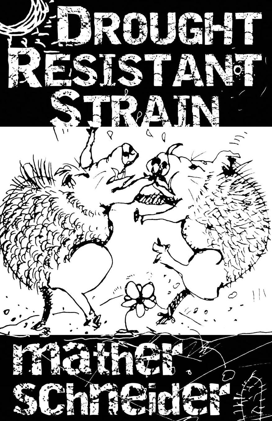 Drought Resistant Strain