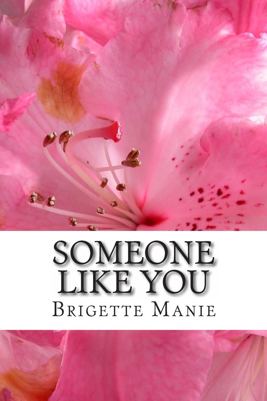 Someone Like You