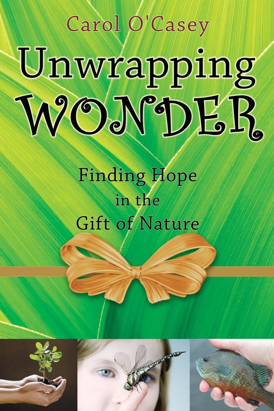 Unwrapping Wonder: Finding Hope in the Gift of Nature
