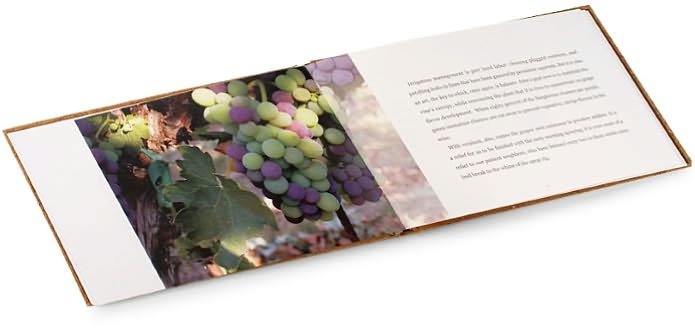 One Vintage: A Year in the Vineyard