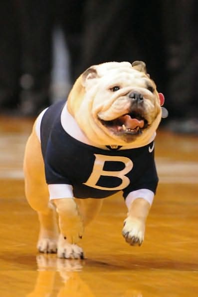The Butler Way: The Best of Butler Basketball