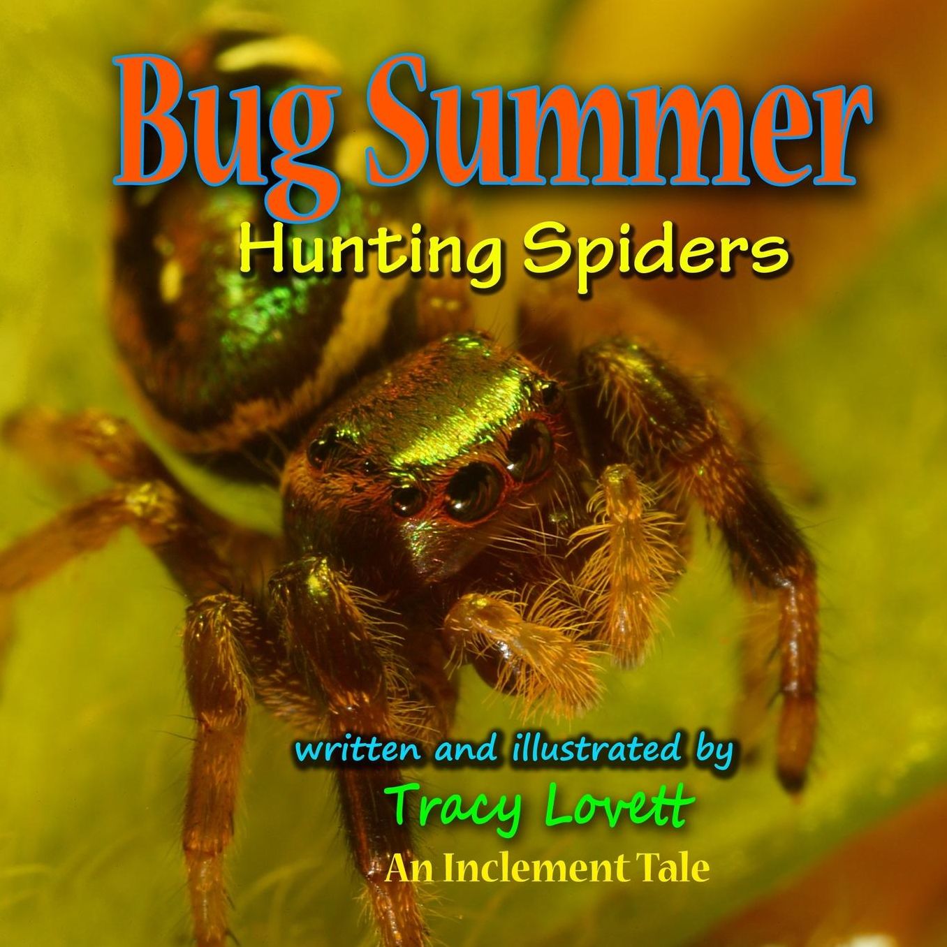 Bug Summer: Hunting Spiders