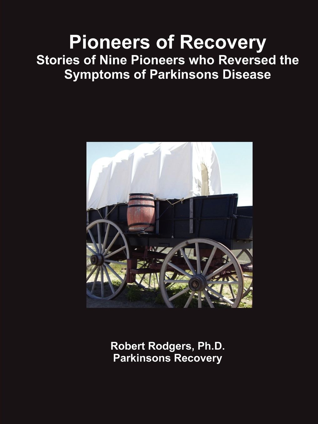 Pioneers Of Recovery