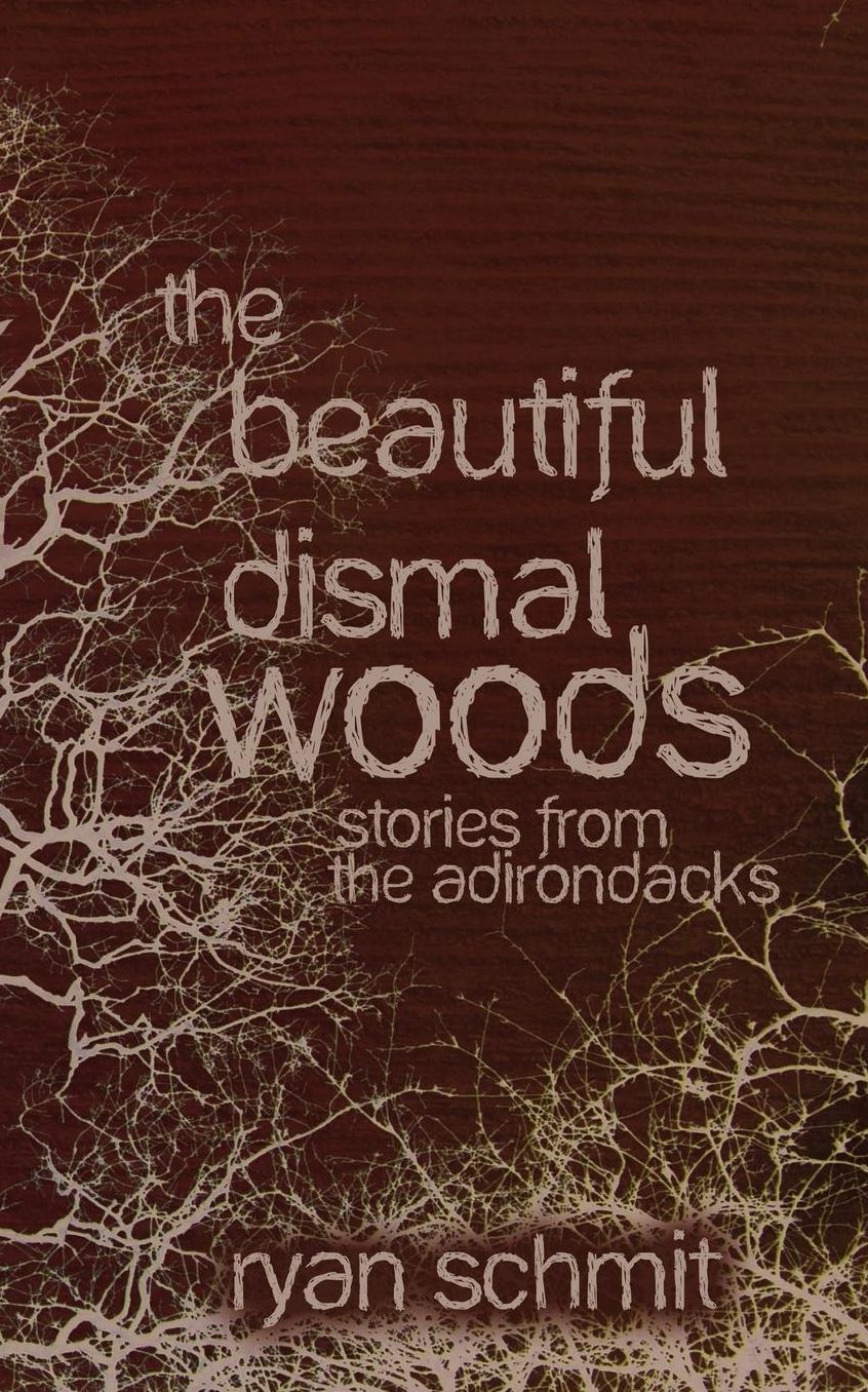 The Beautiful Dismal Woods: Stories from the Adirondacks