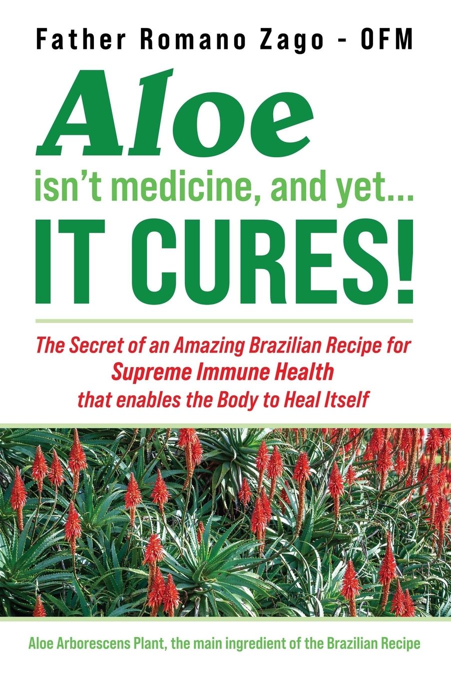 Aloe Isn'T Medicine And Yet... It Cures!