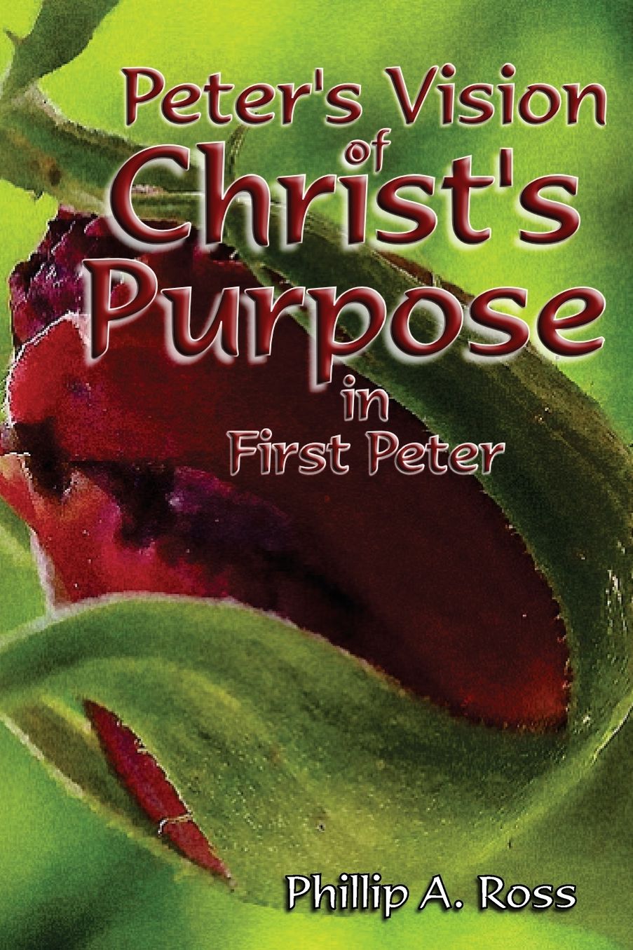 Peter's Vision of Christ's Purpose: In First Peter