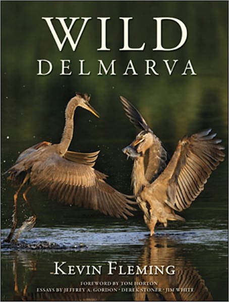Wild Delmarva