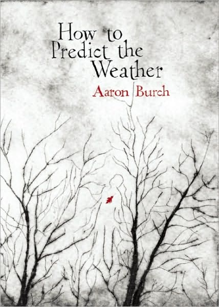 How to Predict the Weather