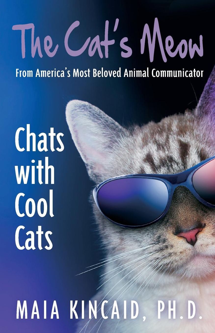 The Cat's Meow: Chats with Cool Cats!