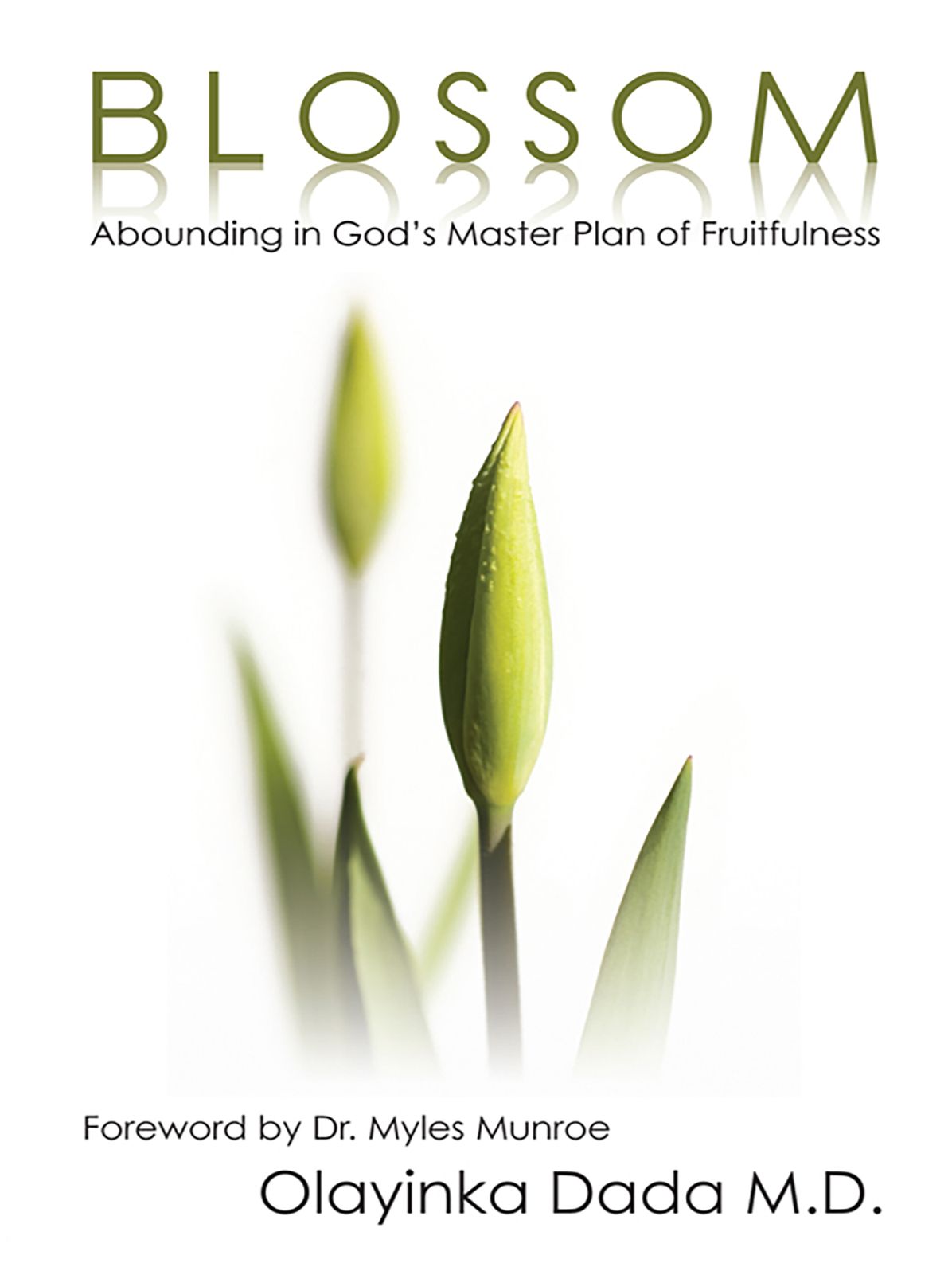 Blossom: Abounding in God's Master Plan of Fruitfulness