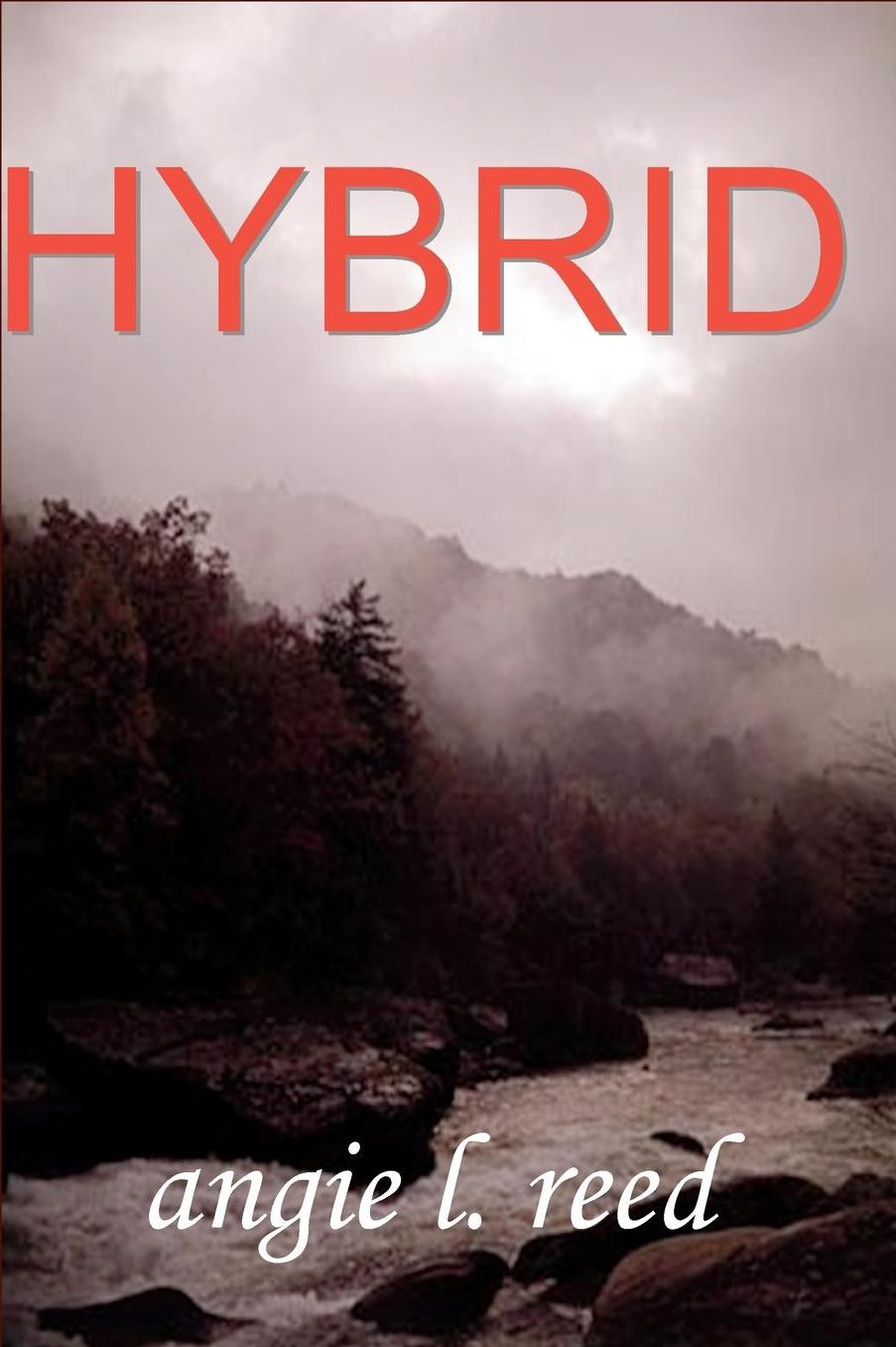 Hybrid