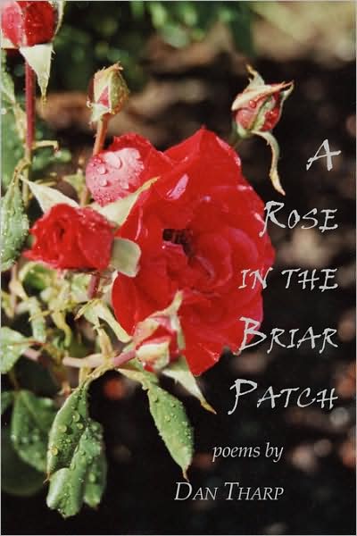 A Rose In The Briar Patch