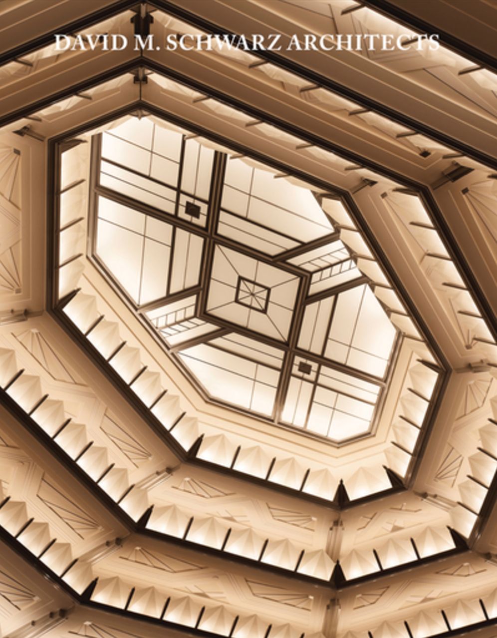 David M. Schwarz Architects