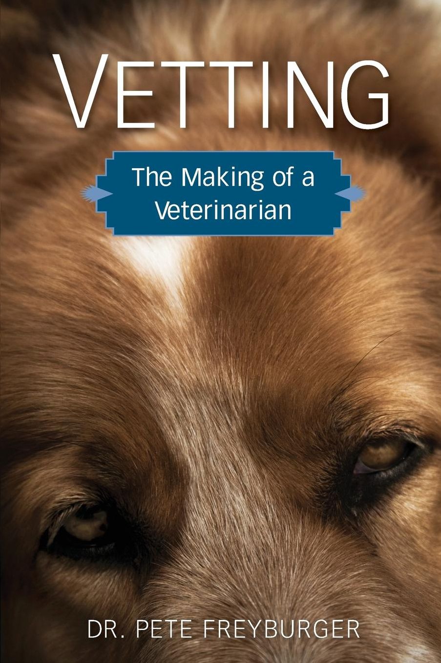 Vetting