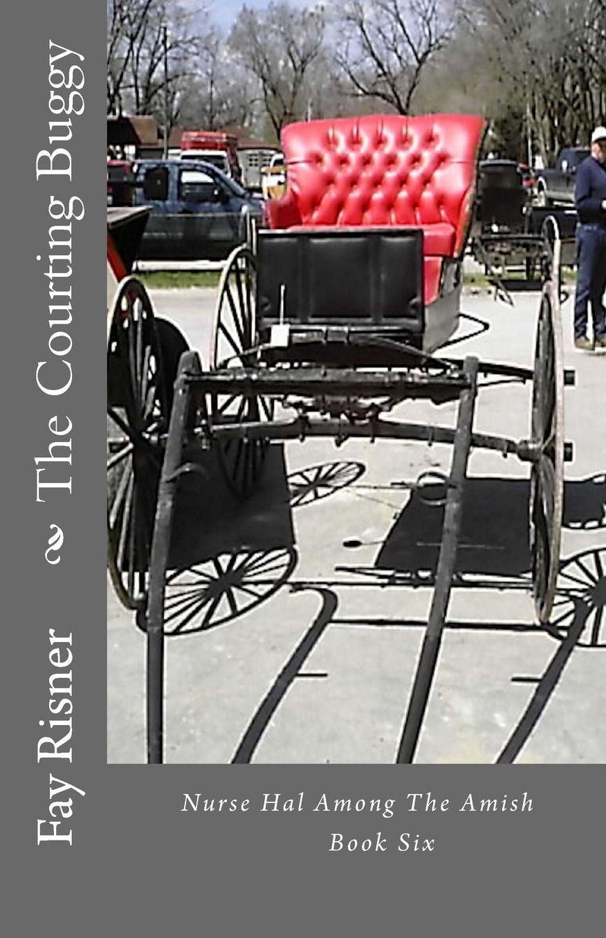 The Courting Buggy: Nurse Hal Among The Amish