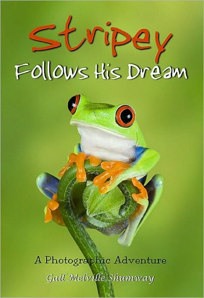 Stripey Follows His Dream