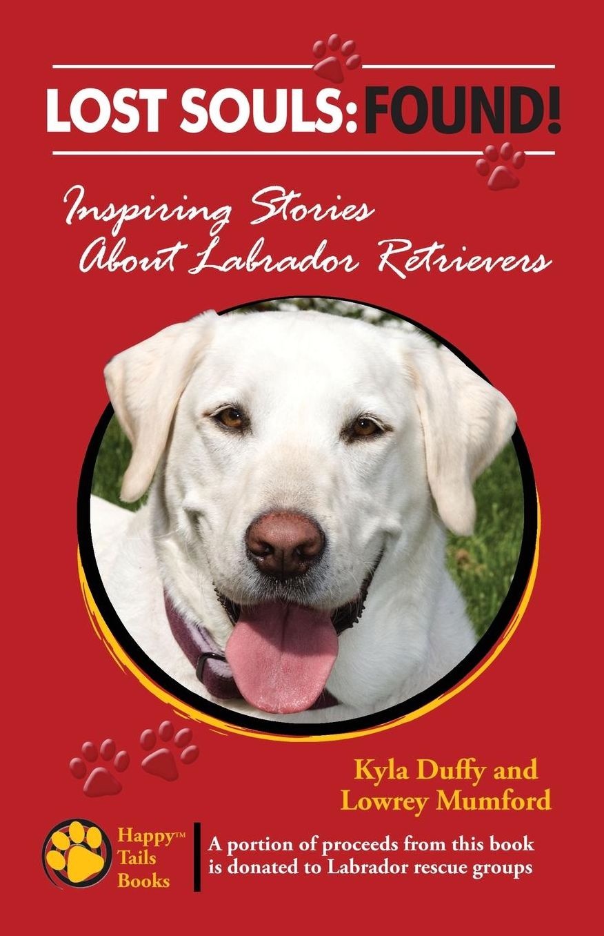 Lost Souls: Inspiring Stories about Labrador Retrievers