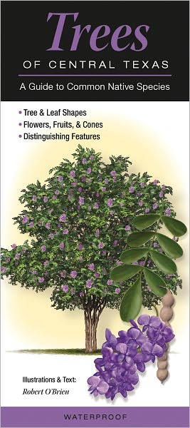 Trees of Central Texas: A Guide to Common Native Species