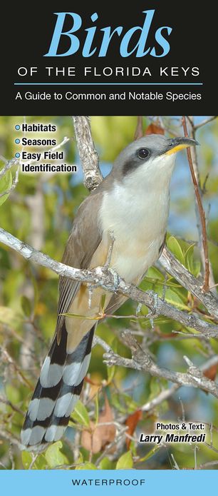Birds of the Florida Keys: A Guide to Common and Notable Species