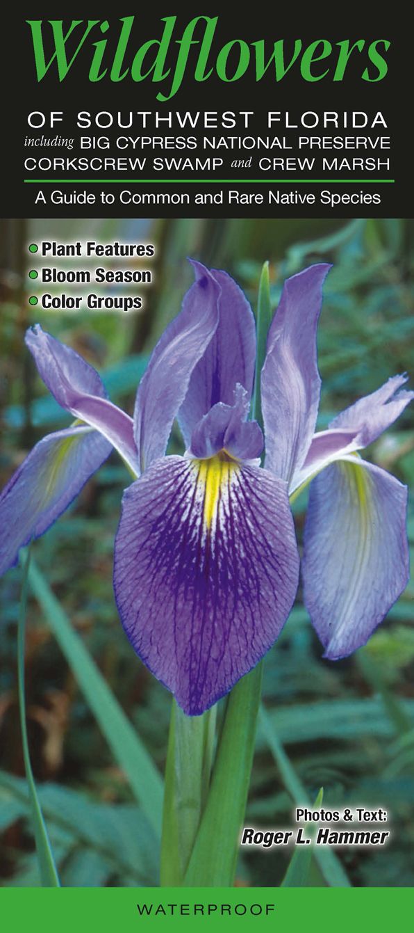 Wildflowers of Southwest Florida including Big Cypress Preserve NP Corkscrew Swamp and CREW Marsh: A Guide to Common and Rare Native Species