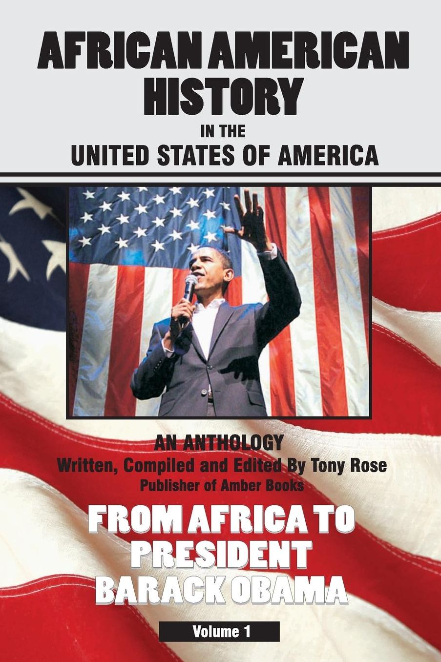 African American History In The United States Of America