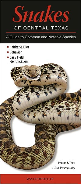 Snakes of Central Texas: A Guide to Common and Notable Species