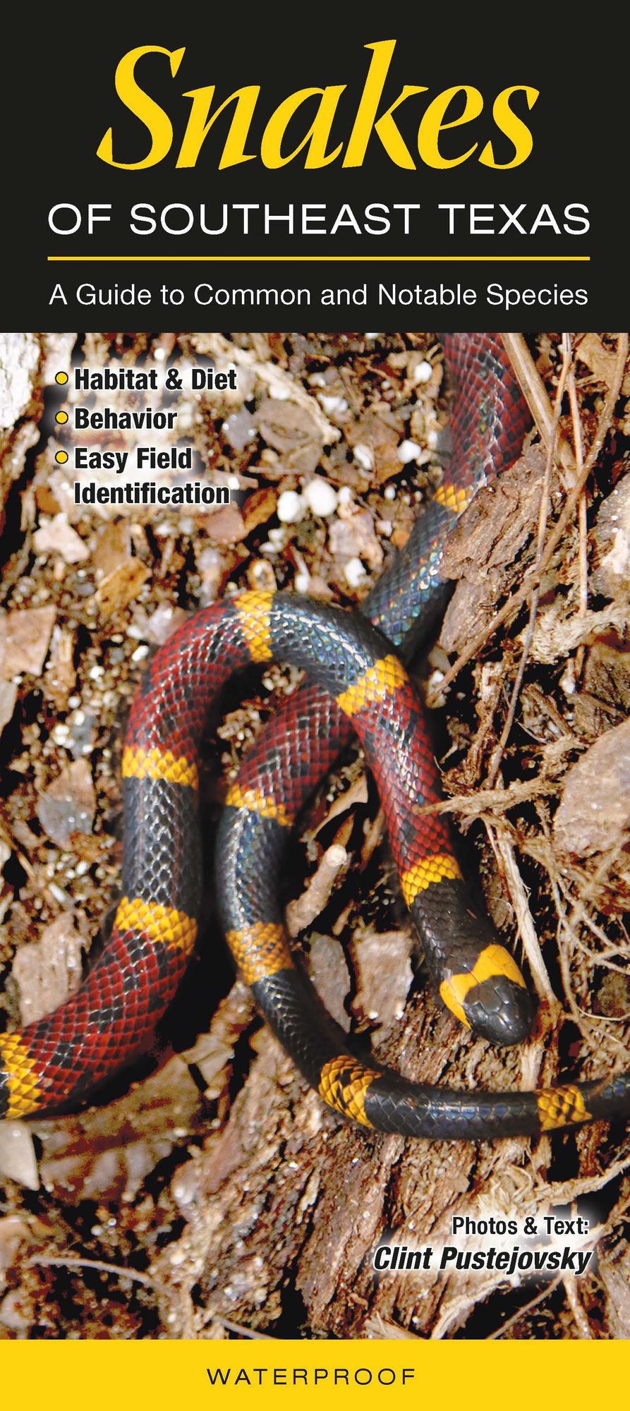 Snakes of Southeast Texas: A Guide to Common and Notable Species