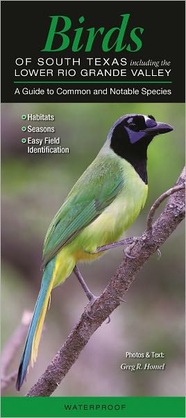 Birds of South Texas including the Lower Rio Grande Valley: A Guide to Common and Notable Species