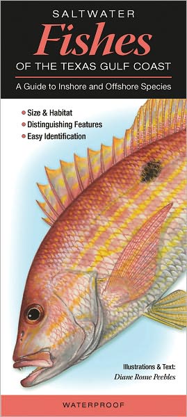 Saltwater Fishes of the Texas Gulf Coast: A Guide to Inshore and Offshore Species