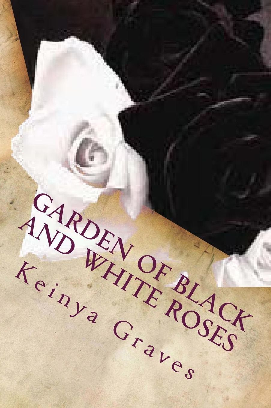 Garden of Black and White Roses