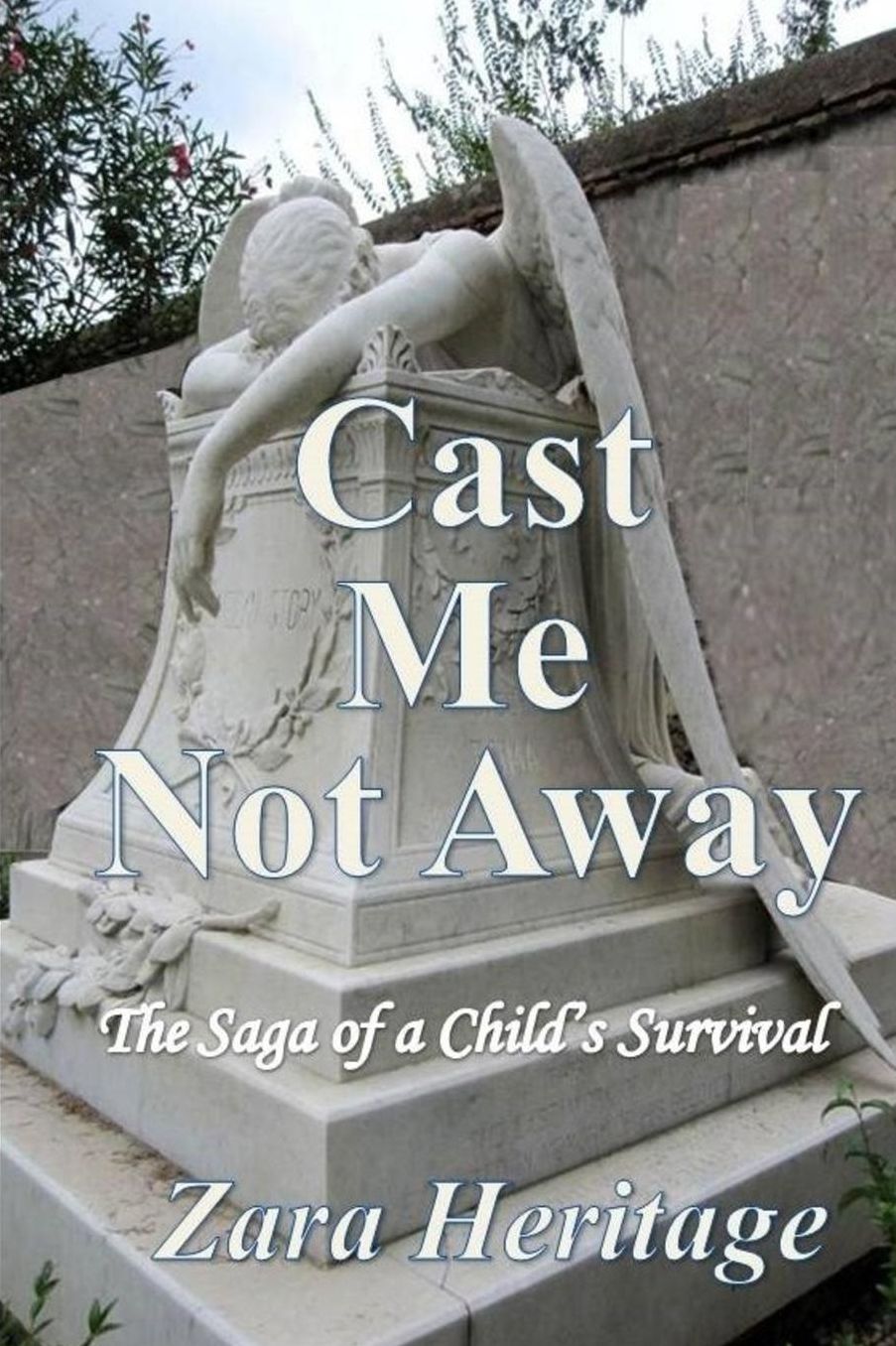 Cast Me Not Away - The Saga of a Child's Survival: A Window to the Future