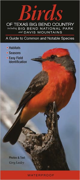 Birds of Texas Big Bend Country including Big Bend National Park and Davis Mountains: A Guide to Common and Notable Species