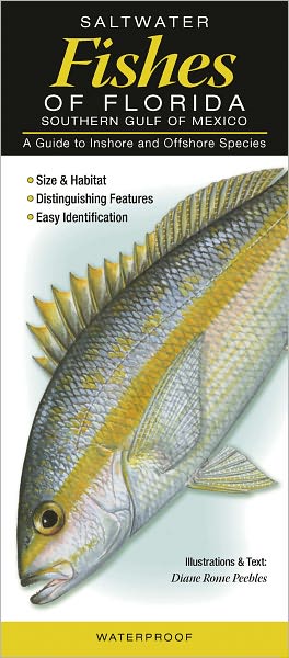 Saltwater Fishes of Florida - Southern Gulf of Mexico: A Guide to Inshore and Offshore Species