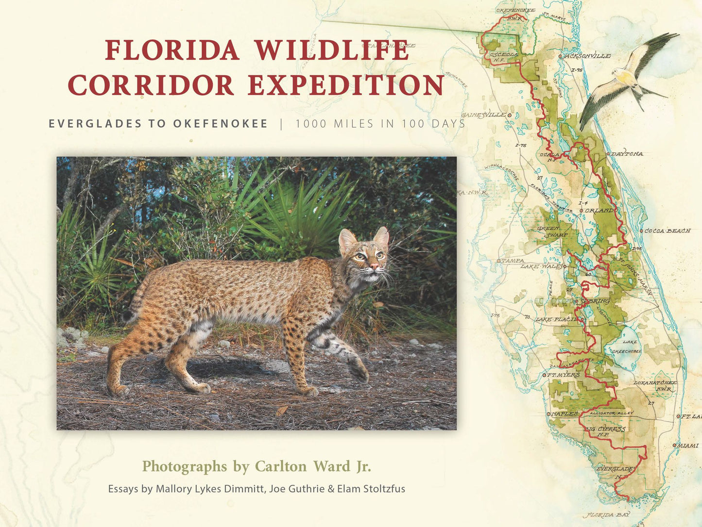 Florida Wildlife Corridor Expedition: Everglades to Okefenokee