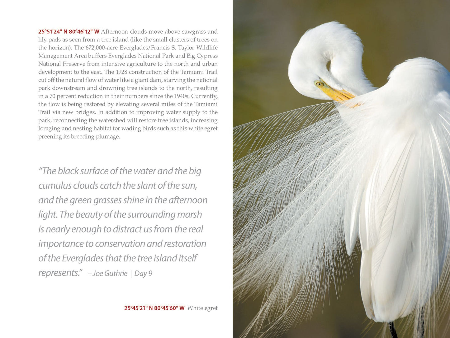 Florida Wildlife Corridor Expedition: Everglades to Okefenokee