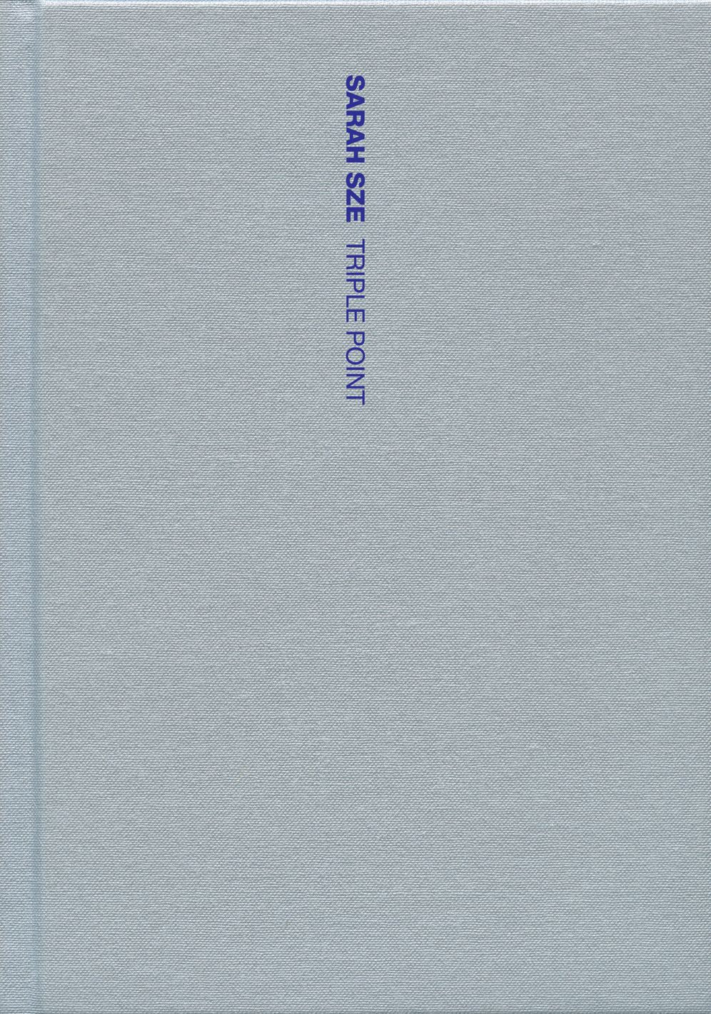 Sarah Sze: Triple Point