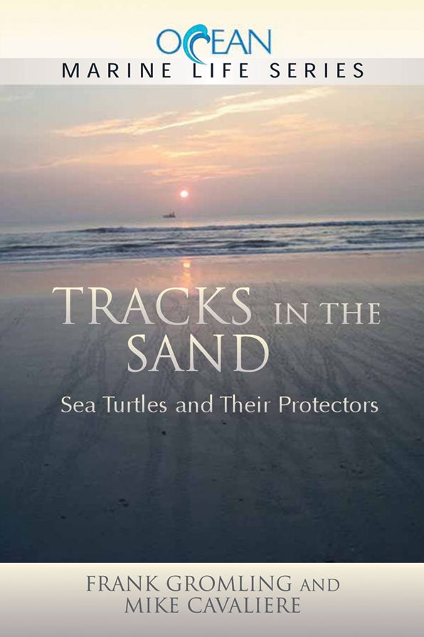 Tracks in the Sand: Sea Turtles and Their Protectors