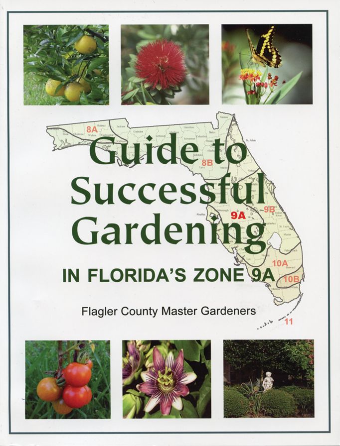 Guide to Successful Gardening in Florida's Zone 9A