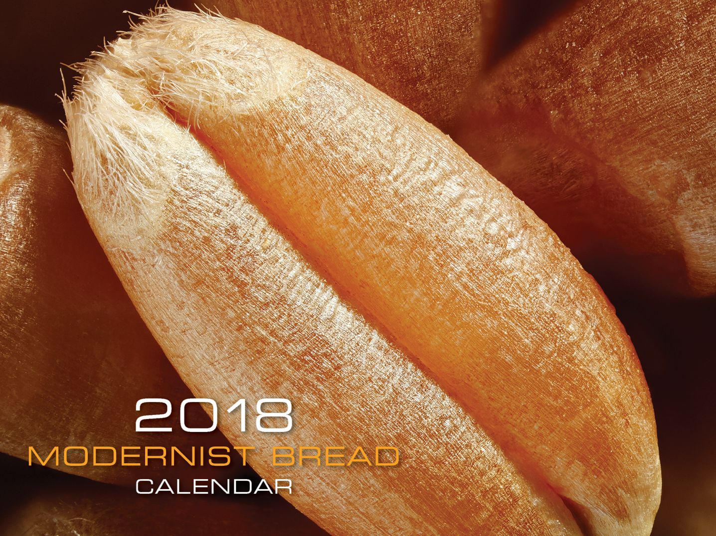 Modernist Bread 2018 Calendar