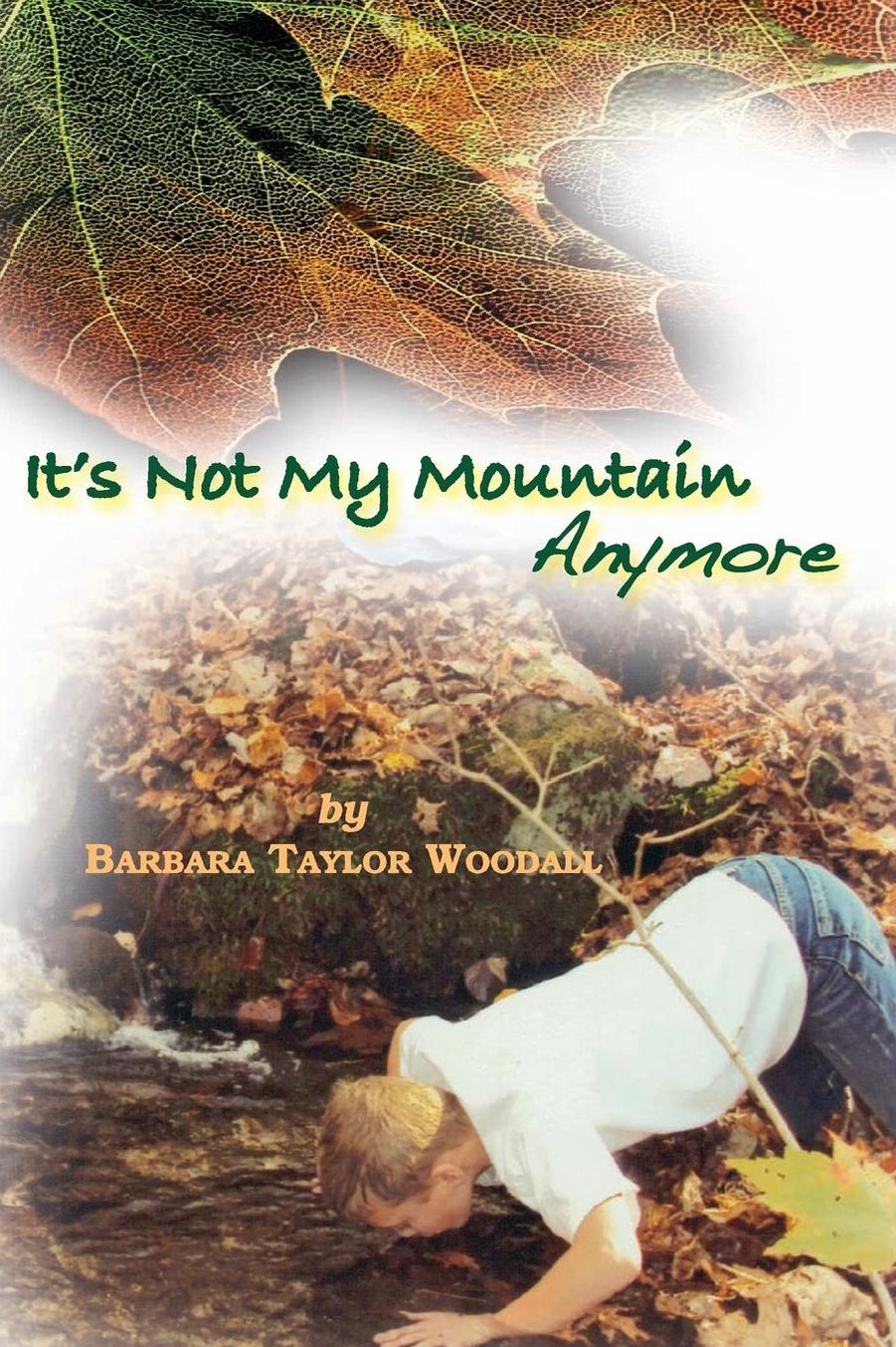 It's Not My Mountain Anymore
