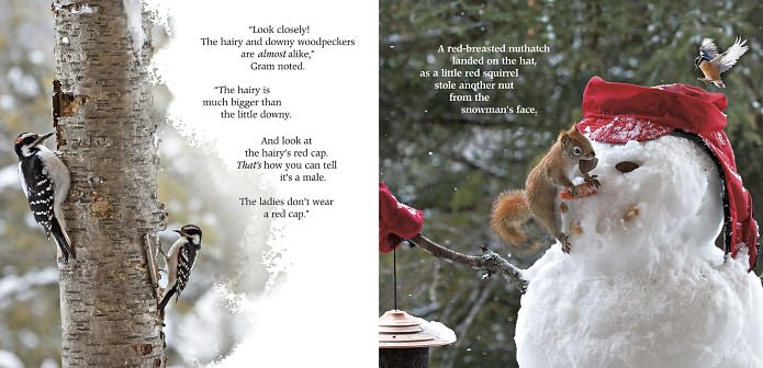 Tea with Lady Sapphire: Sharing the Love of Birds