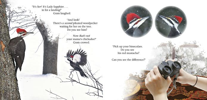Tea with Lady Sapphire: Sharing the Love of Birds