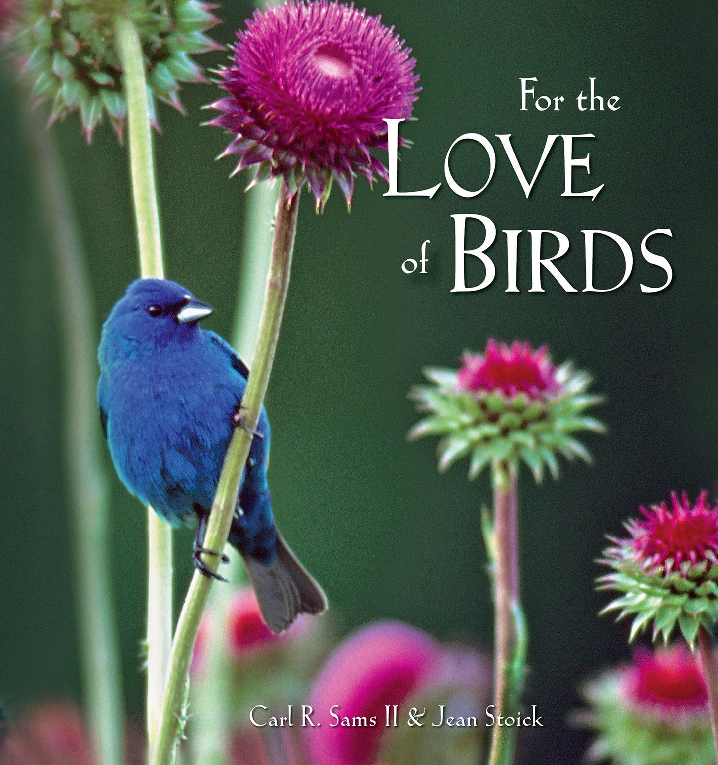 For the Love of Birds