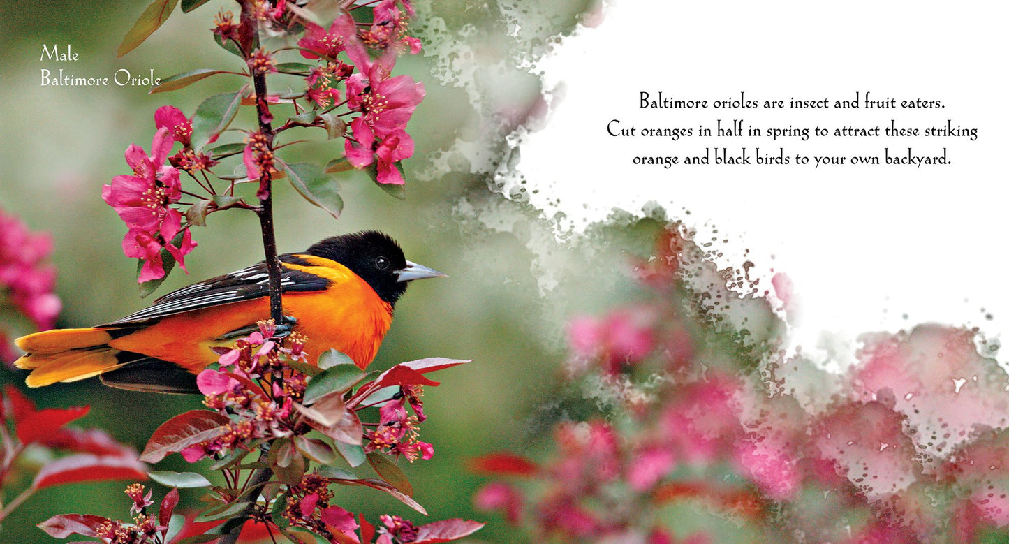 For the Love of Birds