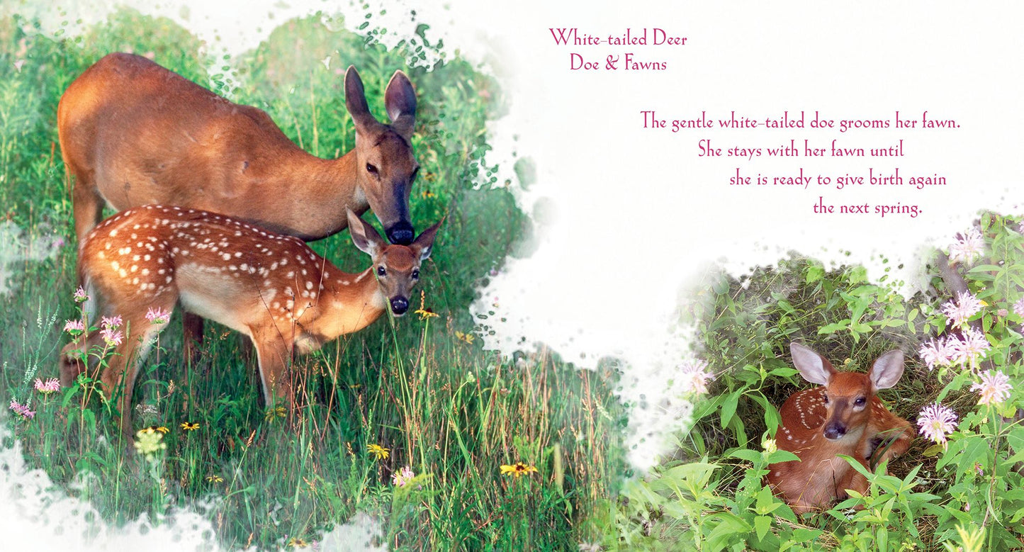 Babies of the Wild