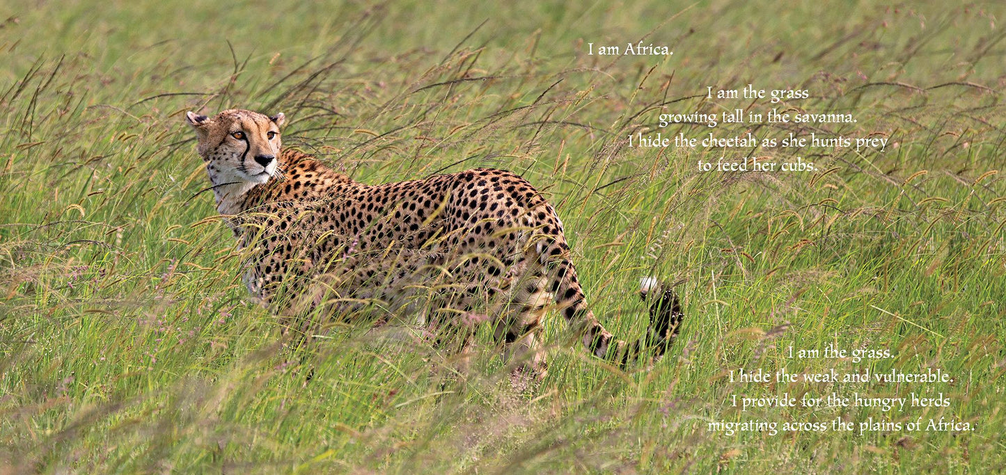I Am Africa