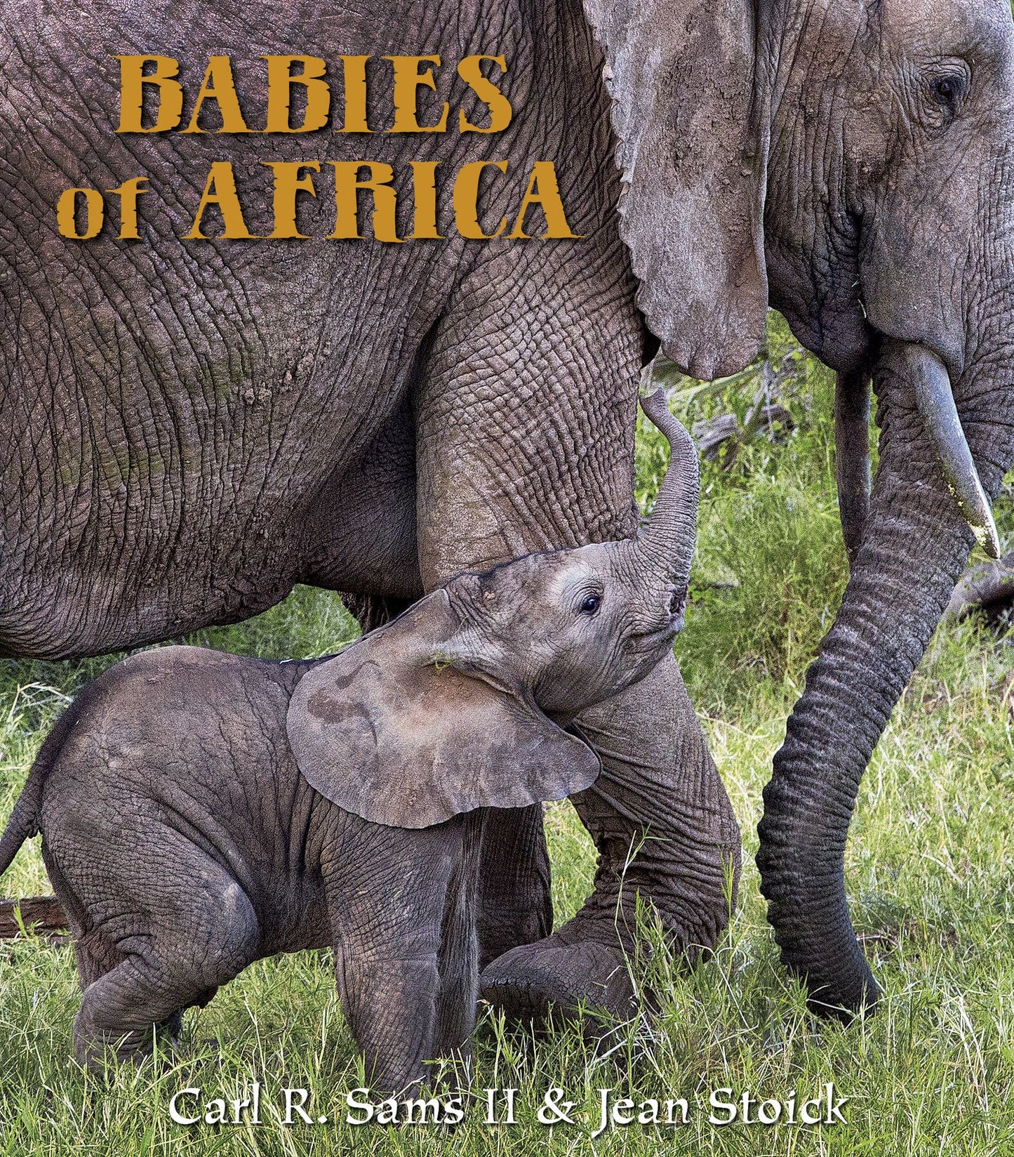 Babies of Africa