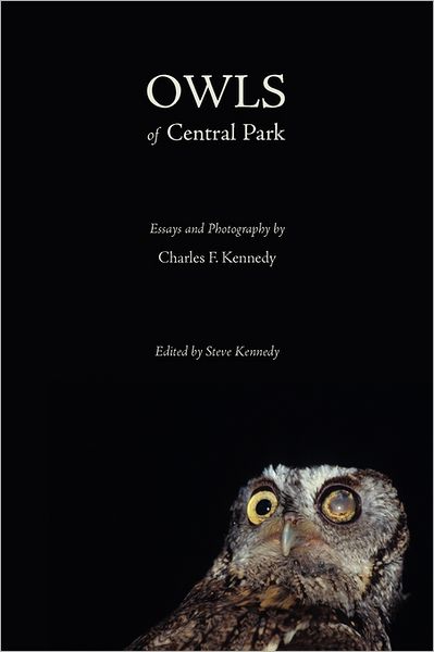 Owls Of Central Park